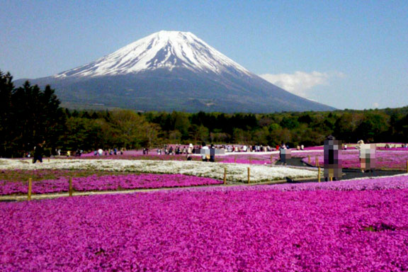 Beautiful Mount Fuji