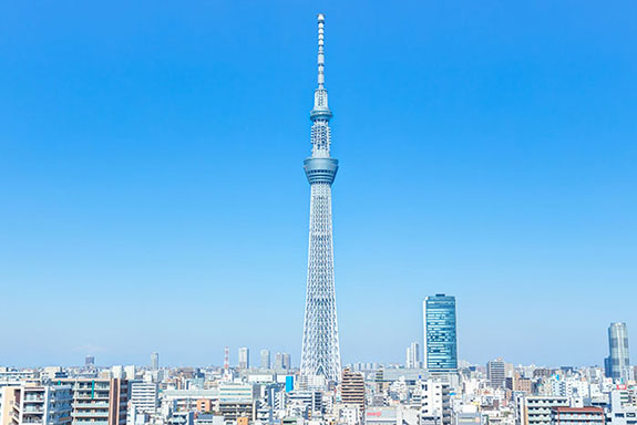 Tokyo One day and half day Tour